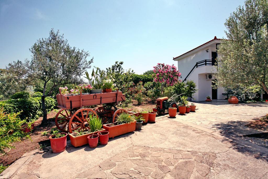 Hotel Pela Skala Kallonis Exterior photo